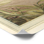 DE VELD CRICKET - Insecte Book Illustration Poster (Hoek)