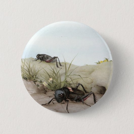 DE VELDCRICKET RONDE BUTTON 5,7 CM (Voorkant)