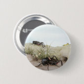 DE VELDCRICKET RONDE BUTTON 5,7 CM (Voorkant /achterkant)