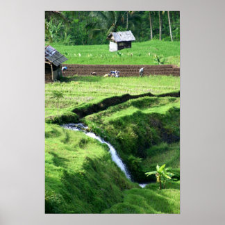 De velden bewerken poster