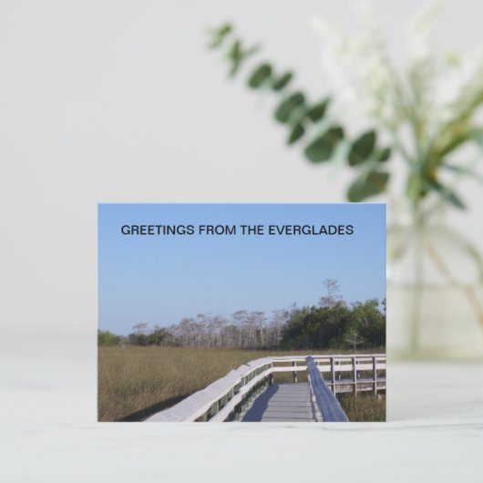 DE VELDEN VAN DE EVERGLADES BRIEFKAART (Staand voorkant)