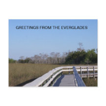 DE VELDEN VAN DE EVERGLADES