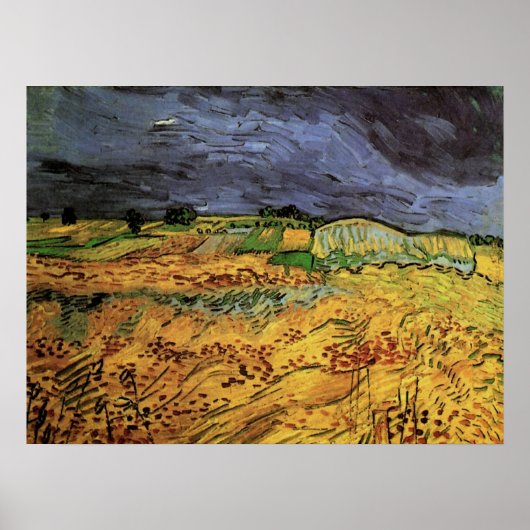 De velden van Vincent van Gogh Poster (Voorkant)