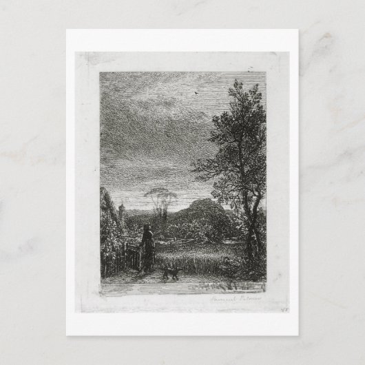 De veldleeuwerik (etsen) briefkaart (Voorkant)