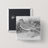 De veldleeuwerik vierkante button 5,1 cm (Voorkant /achterkant)