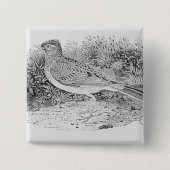 De veldleeuwerik vierkante button 5,1 cm (Voorkant)