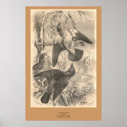 De veldtarieven poster (Voorkant)