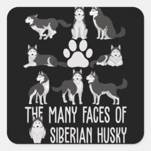 De vele gezichten van de Siberische Husky voor Hon Vierkante Sticker