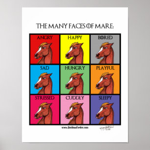De vele gezichten van Mare Poster