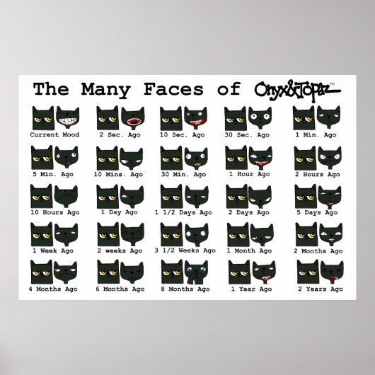 De vele gezichten van O&T POSTER LG. (Voorkant)