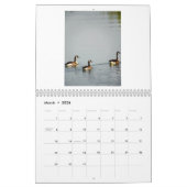 De vele gezichten van Vermont Kalender (Mar 2026)