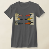 De vele Vogelgezichten van een Zwaan