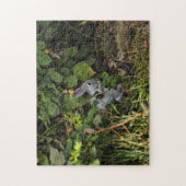 De Velveteen Rabbit Puzzle Legpuzzel (Verticaal)