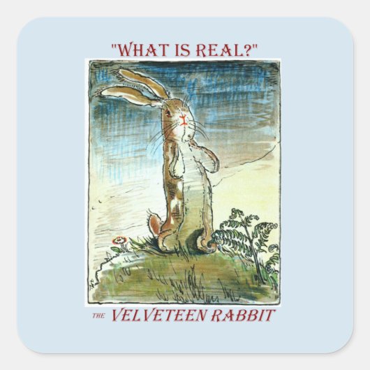 De Velveteen Rabbit Sticker (Voorkant)
