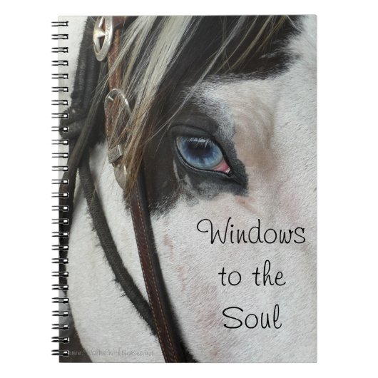 De Vensters van het paard aan het Notitieboek van  (Voorkant)