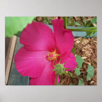 de ventilator van Smith Poster