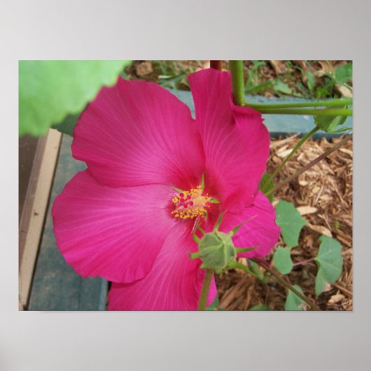 de ventilator van Smith Poster (Voorkant)