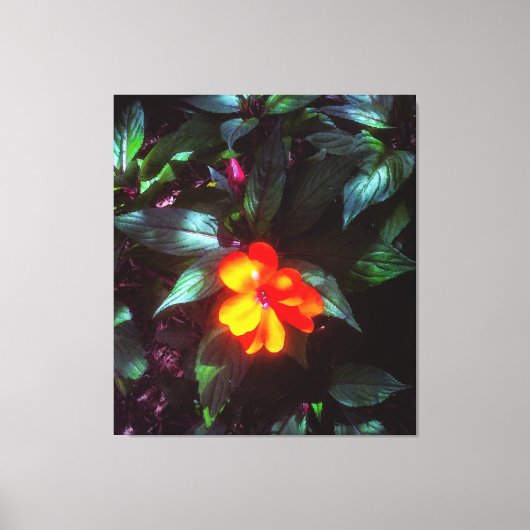 De ventilatorgloed in zonlicht canvas afdruk (Voorkant)