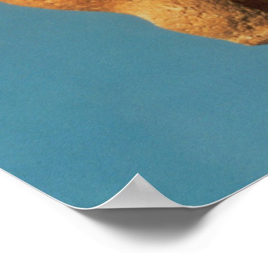 De Venus Willendorf Poster (Hoek)