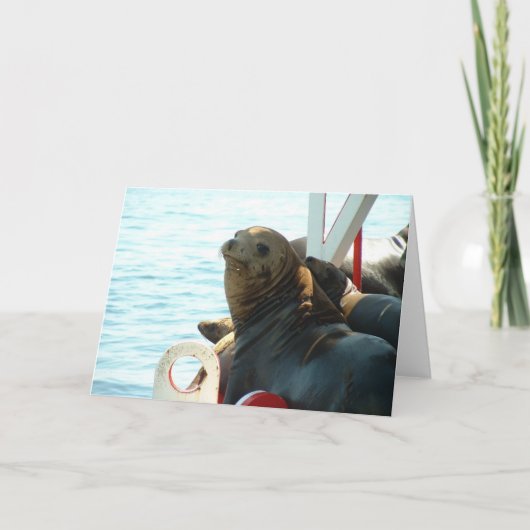 De Verbinding van de Baai van Morro Kaart (Voorkant)