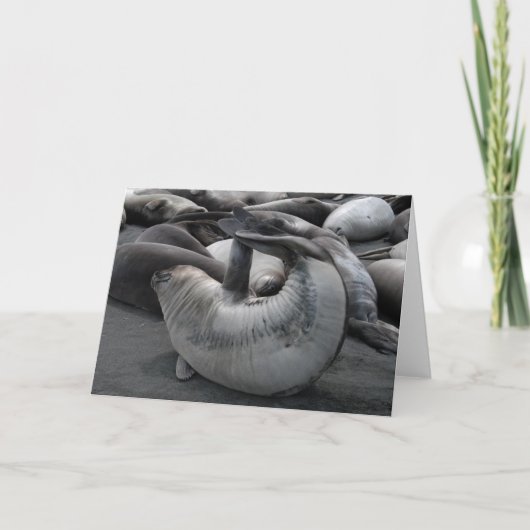 De verbinding van de Meermin Kaart (Voorkant)