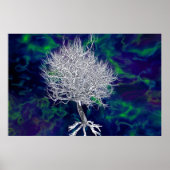 De verboden levensboom poster (Voorkant)