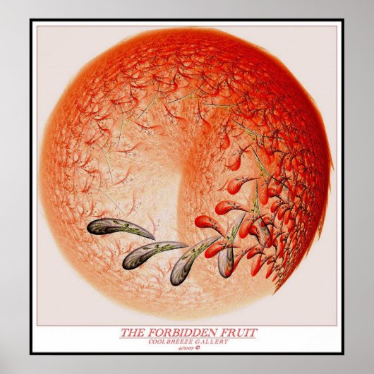 DE VERBODEN VRUCHTEN POSTER (Voorkant)