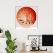 DE VERBODEN VRUCHTEN POSTER (Thuiskantoor)