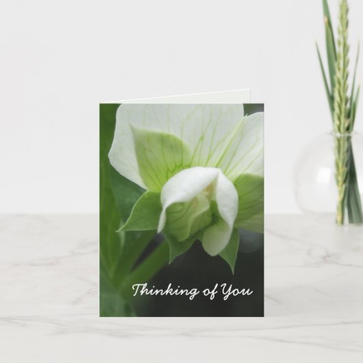 De verborgen Kaart van de Nota van de Sjabloon van (Voorkant)