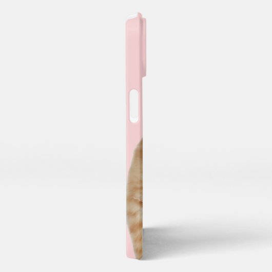 De verborgen kattenkoffer iPhone iPhone Hoesje (Rechterkant)