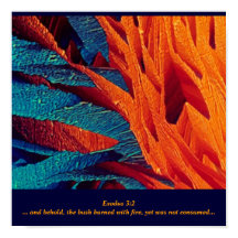 De verbrande Struik Abstract