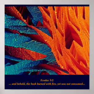 De verbrande Struik Abstract Poster