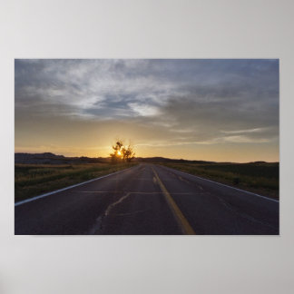 De verbrande Struik Poster