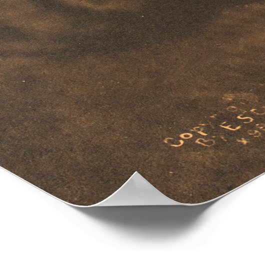 De verdwijnende race-Navaho. Poster (Hoek)