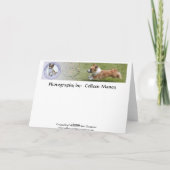 De verdwijning van de "ondeugende" lijst feestdagen kaart (Achterkant)