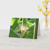 De "veren van het graan " kaart (Gele Bloem)