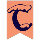 De Verenigde Staten zijn samen sterker voor Presid Vlaggetjes (Derde vlag)