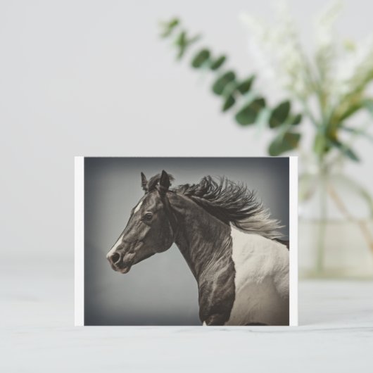 De verf briefkaart (Staand voorkant)