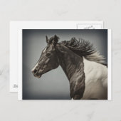 De verf briefkaart (Voorkant / Achterkant)