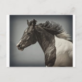 De verf briefkaart (Voorkant)