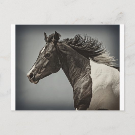 De verf briefkaart (Voorkant)