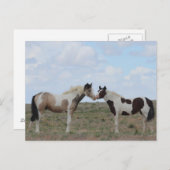 De verf briefkaart (Voorkant / Achterkant)