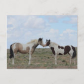 De verf briefkaart (Voorkant)