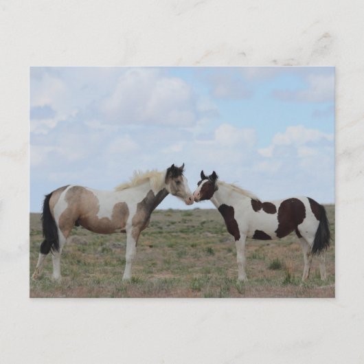 De verf briefkaart (Voorkant)