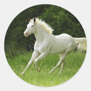 De verf in beweging ronde sticker