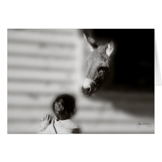 De vergadering (Voorkant Horizontaal)