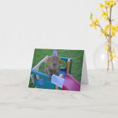 De Verjaardag van Capy van Caplin Rous Kaart (Gele Bloem)