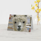 De Verjaardag van de alpaca Kaart (Gele Bloem)