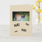 De Verjaardag van de Bok van de Button Kaart (Gele Bloem)