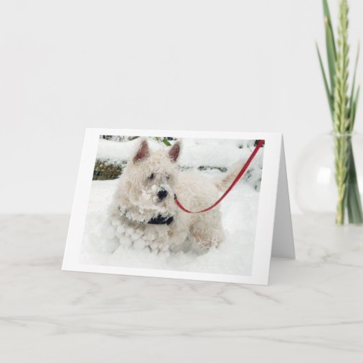 De verjaardag van de de groetenkaart van Westie Bedankkaart (Voorkant)